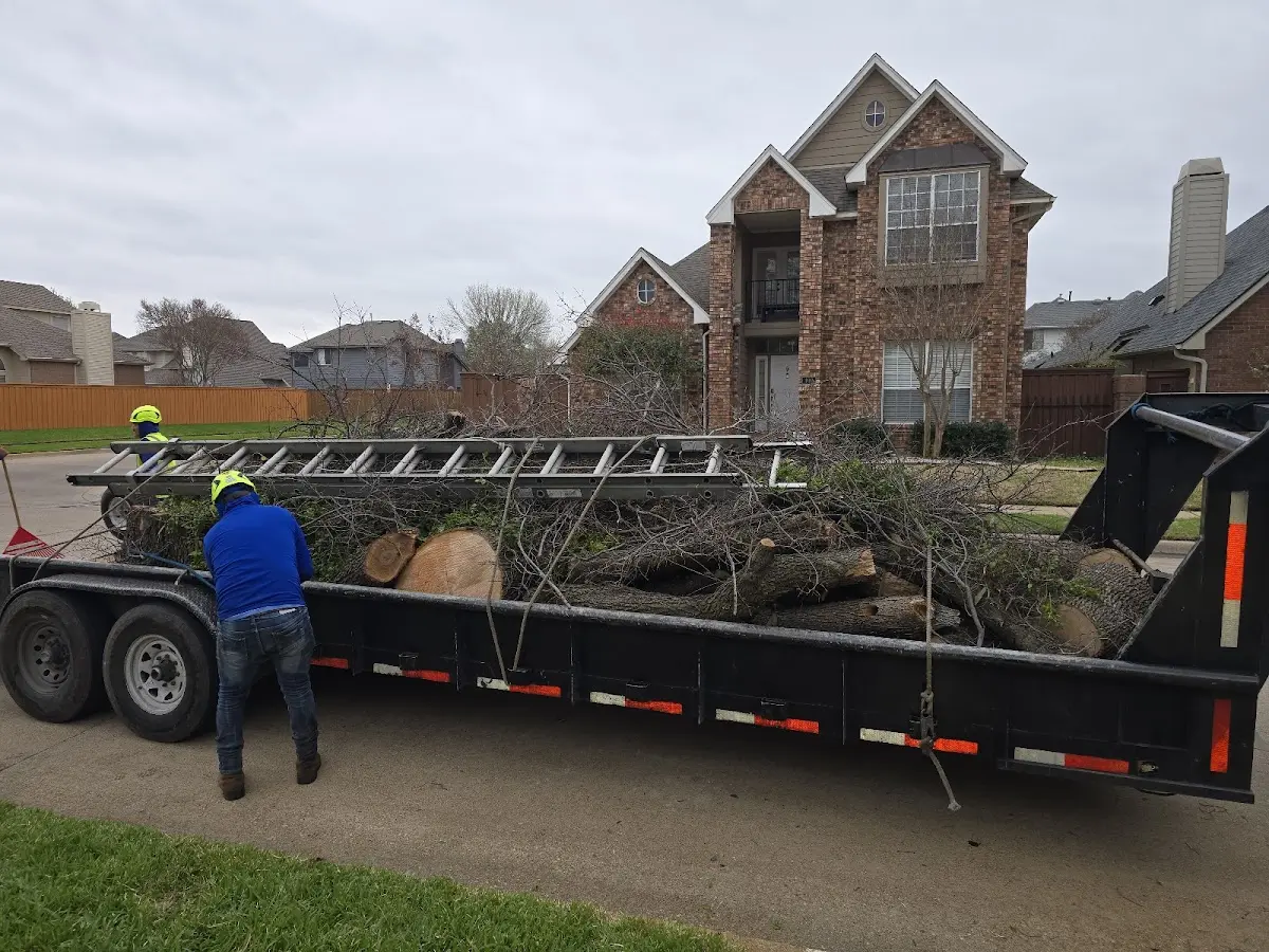 Expert Tree Fertilization with proper safety equipment in Windsor